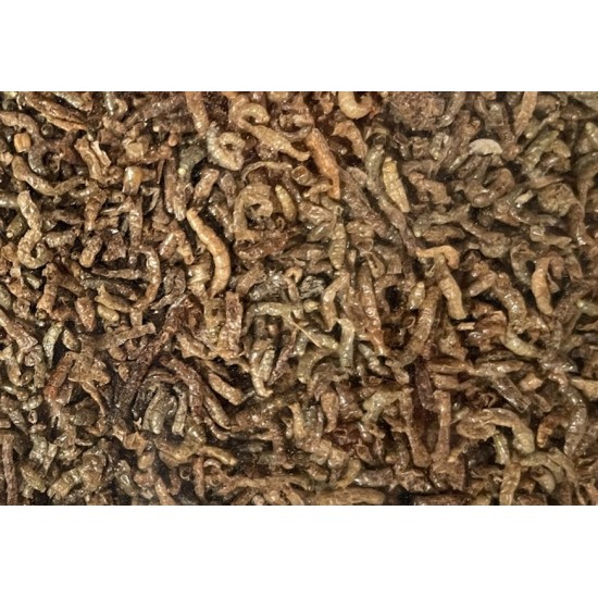 Sensas - Fouillix (larve uscate) 33g