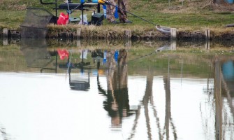 Cateva Sfaturi pentru a lansa mai Departe