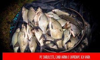 Jurnalul unei partide pe pescuit la feeder dupa platica