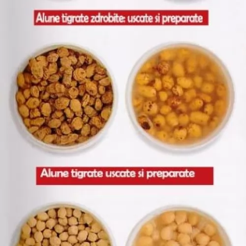 Ghid de preparare seminte pentru pescuitul la feeder Ghid de preparare seminte pentru pescuitul la feeder