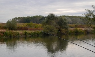 Abordarea partidei de pescuit la feeder