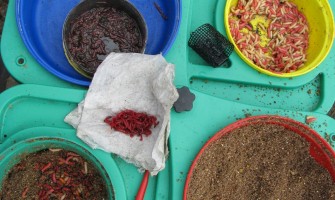 Pescuit la pasta cu feederul – Bait tech Carp paste – Natural