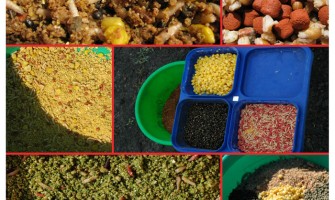 Ghici cine vine la…nadă !