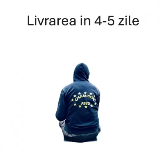 Hanorac Champion Feed - Hoodie L