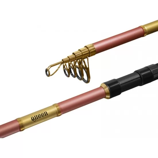 Lanseta Delphin - Queen Tele 3m 100g Lanseta Delphin - Queen Tele 3m 100g