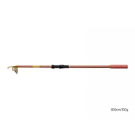 Lanseta Delphin - Queen Tele 3m 100g Lanseta Delphin - Queen Tele 3m 100g