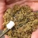 Momitor Korda - Method Feeder Bait Up 35g