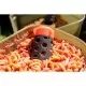 Cosulet Korum - Floating Feeder 63mm