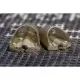 Momitor Pelete Preston - ICS In-Line Solid Pellet Feeder M 30g Momitor Pelete Preston - ICS In-Line Solid Pellet Feeder M 30g