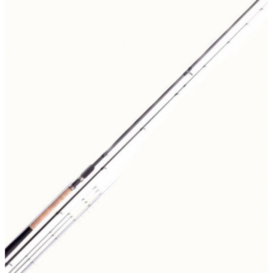 Lanseta GARBOLINO Rocket Carp Picker - 2 buc - 3.00m