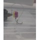 BM Baits Wafter Indian Spice 6mm