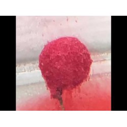 Benzar Mix - Coated Wafters Krill