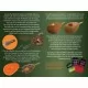 Momitor method - Drennan In-Line Flat Method Feeder Small 25G Momitor method - Drennan In-Line Flat Method Feeder Small 25G