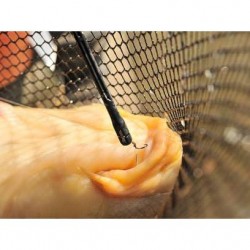 Guru Degorjor QM1 Guru Degorjor QM1