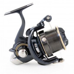 Daiwa - 19 Cast`izm Feeder 25 QD